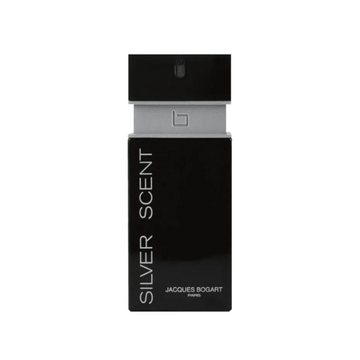 Silver Scent Masculino Eau de Toilette