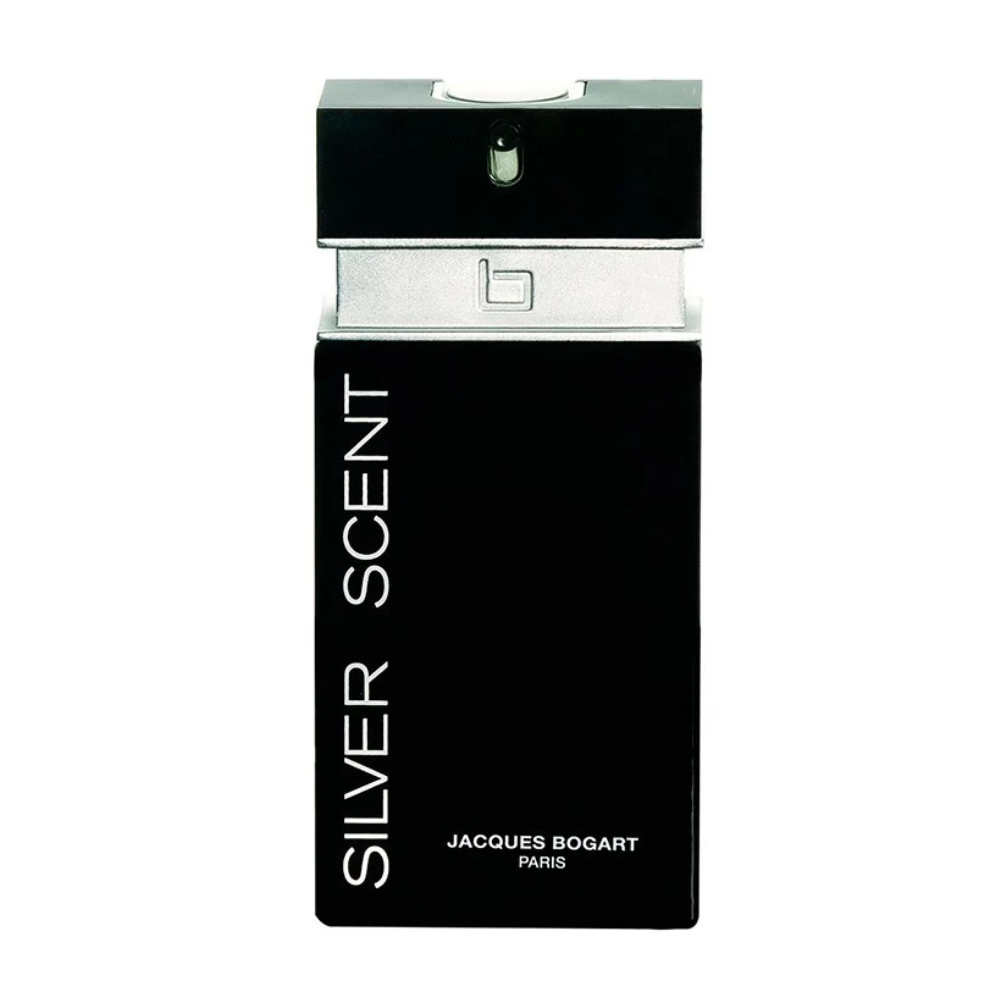 Silver Scent Masculino Eau de Toilette – Sieno Distribuidora